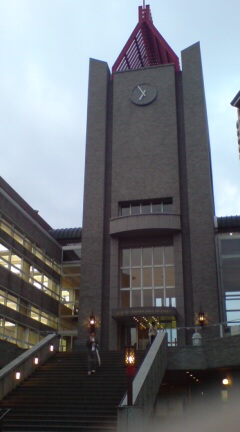 早稲田の図書館 大学芋